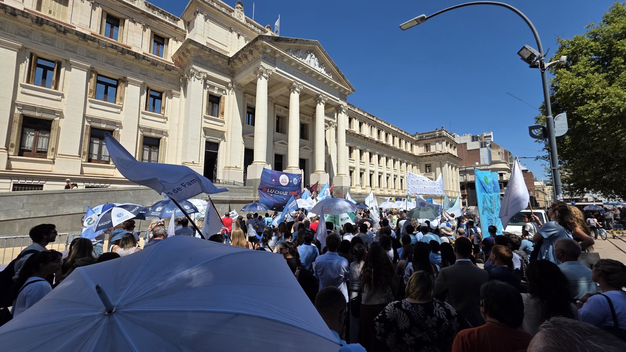 Los gremios estatales presentamos un amparo colectivo contra la reforma ...